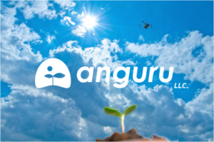 ANGURU,LLC.OUTLINE
